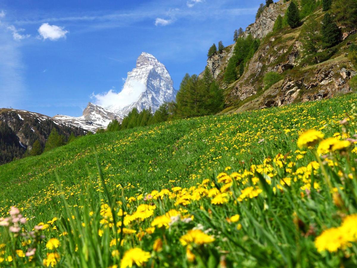 Apartment Apollo By Interhome Zermatt Exterior foto