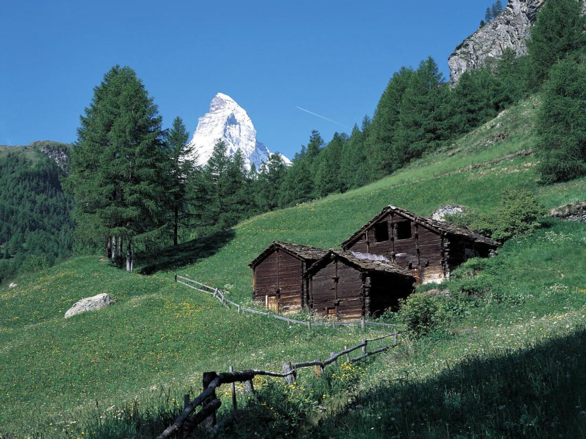 Apartment Apollo By Interhome Zermatt Exterior foto
